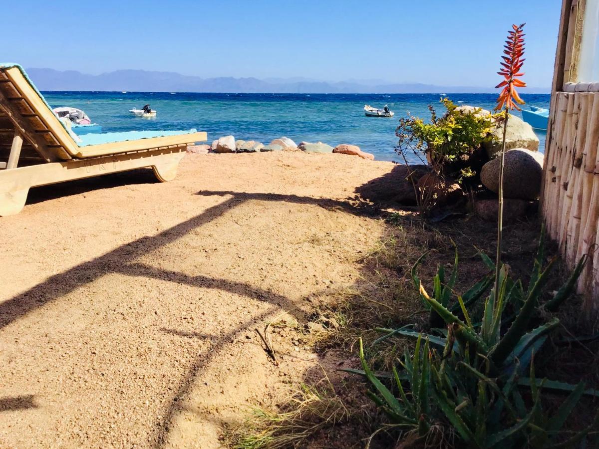 Villa Kon Tiki With Private Beach ダハブ エクステリア 写真